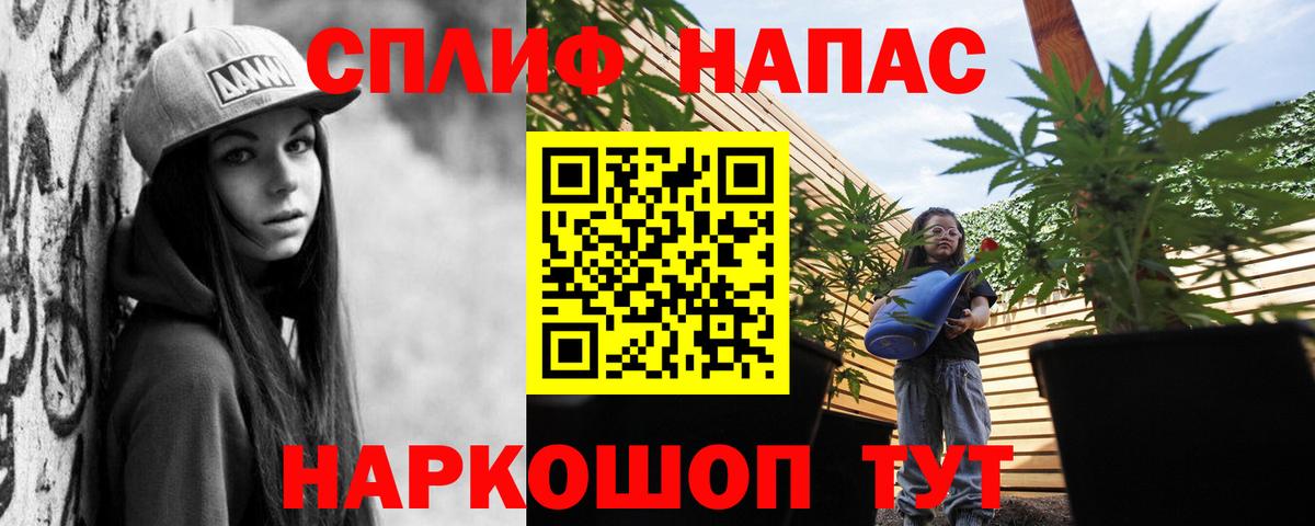 Канабис марихуана  Вход с VPN  Конопля сатива  Минеральные Воды  Бошки Шишки сатива 